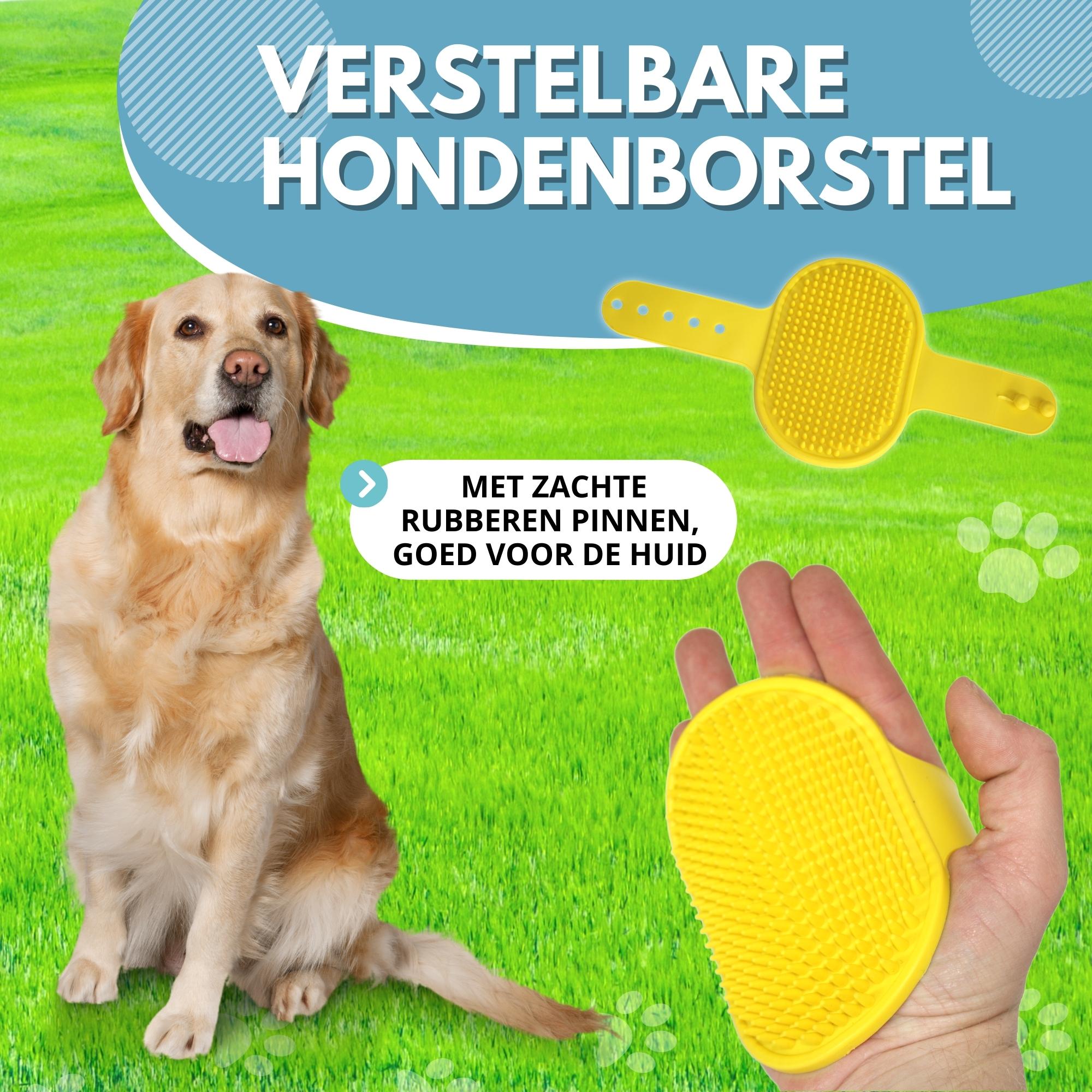 Lendo Online Hondenzwembad met borstel Ø160x30cm PVC blauw