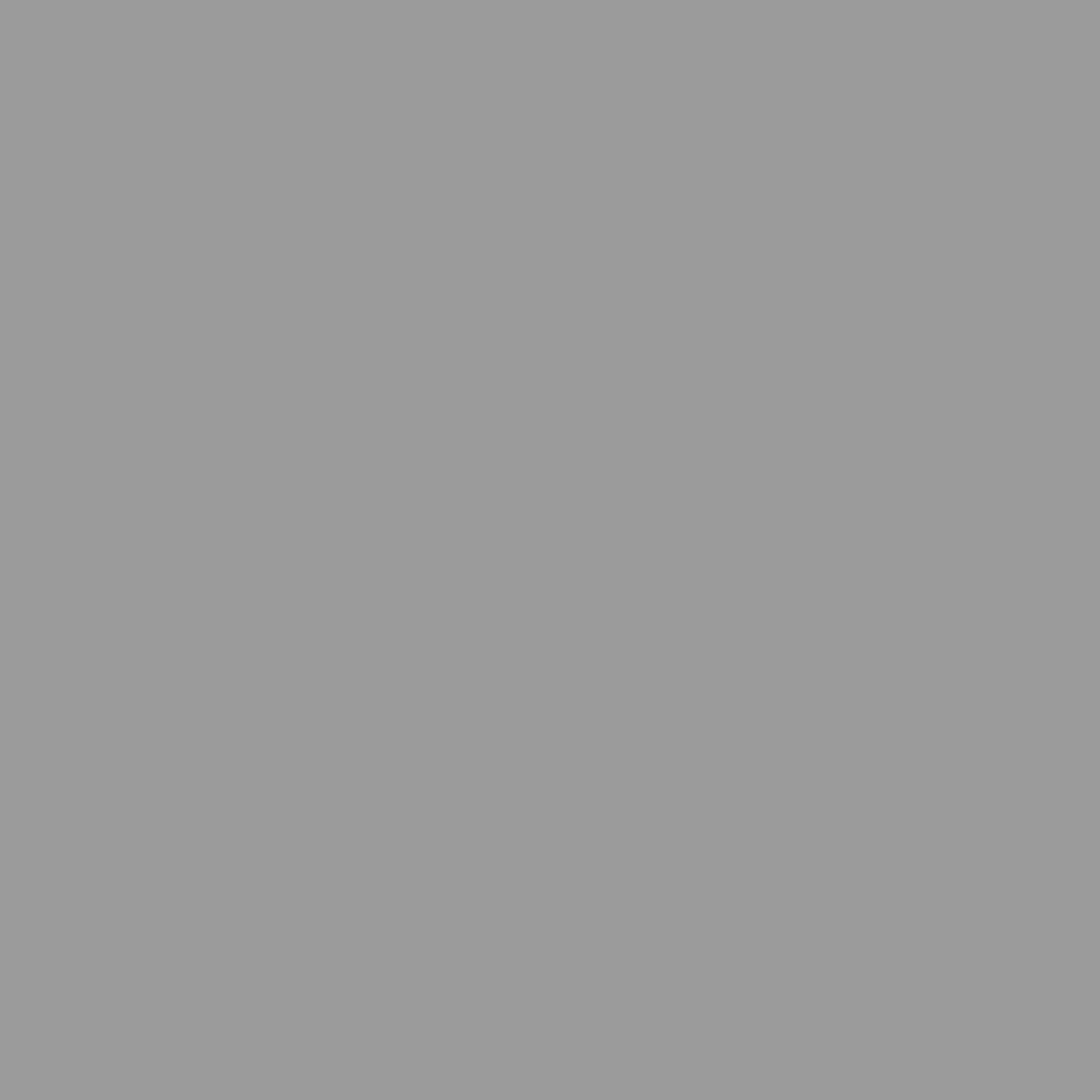 Tuinschuur 277x93x179 cm gegalvaniseerd staal grijs