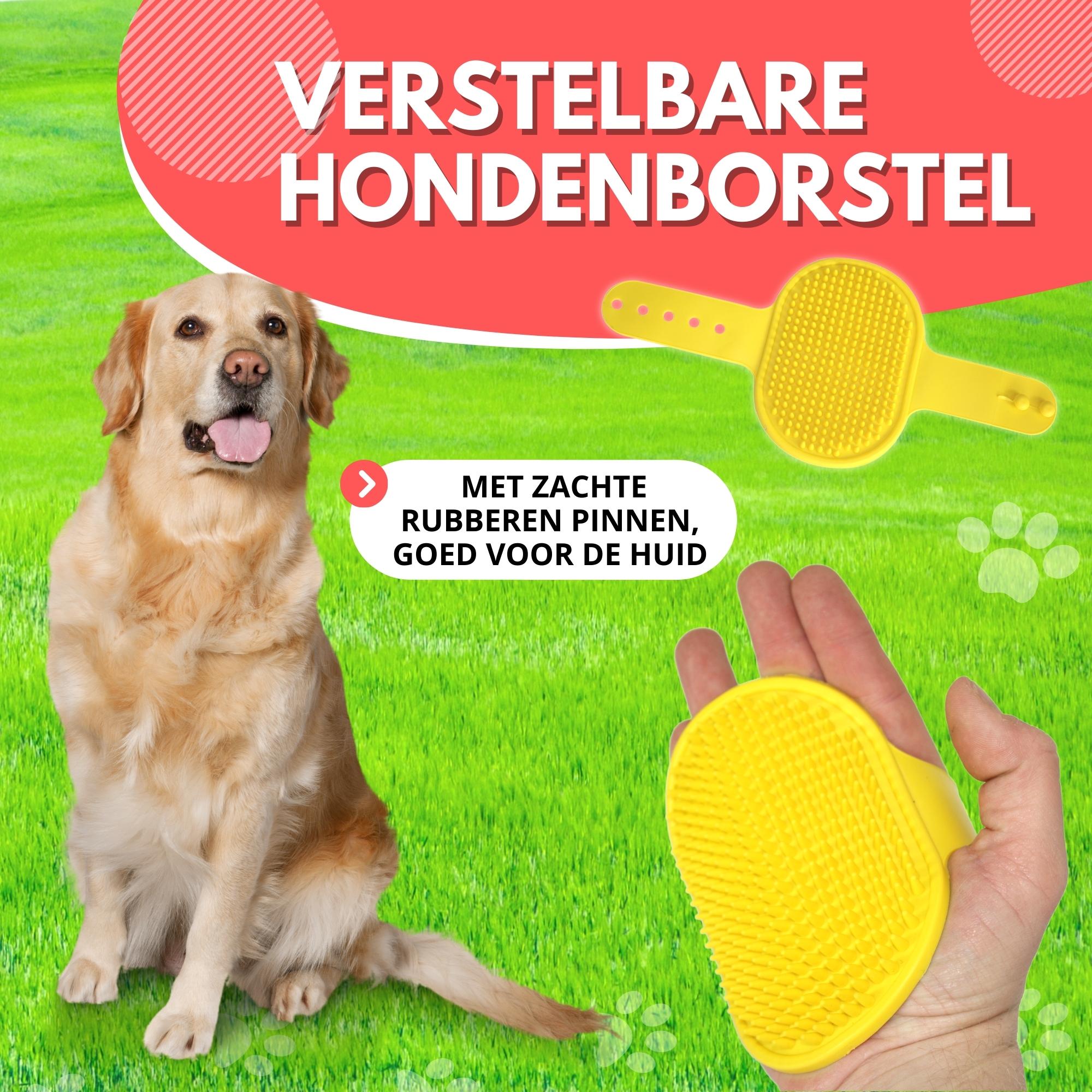 Lendo Online Piscine pour chiens avec brosse Ø120x30cm PVC rouge